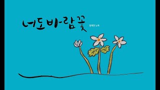 너도바람꽃-2023성남창작동요대회 긴 겨울 지나고 봄 너도바람꽃 나도바람꽃