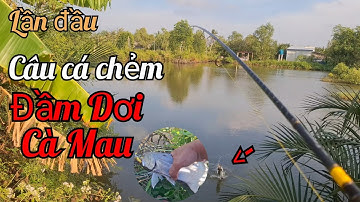 Lần đầu câu cá chẻm tại Đầm Dơi Cà Mau Phần 1| Đồng Quê Trải Nghiệm