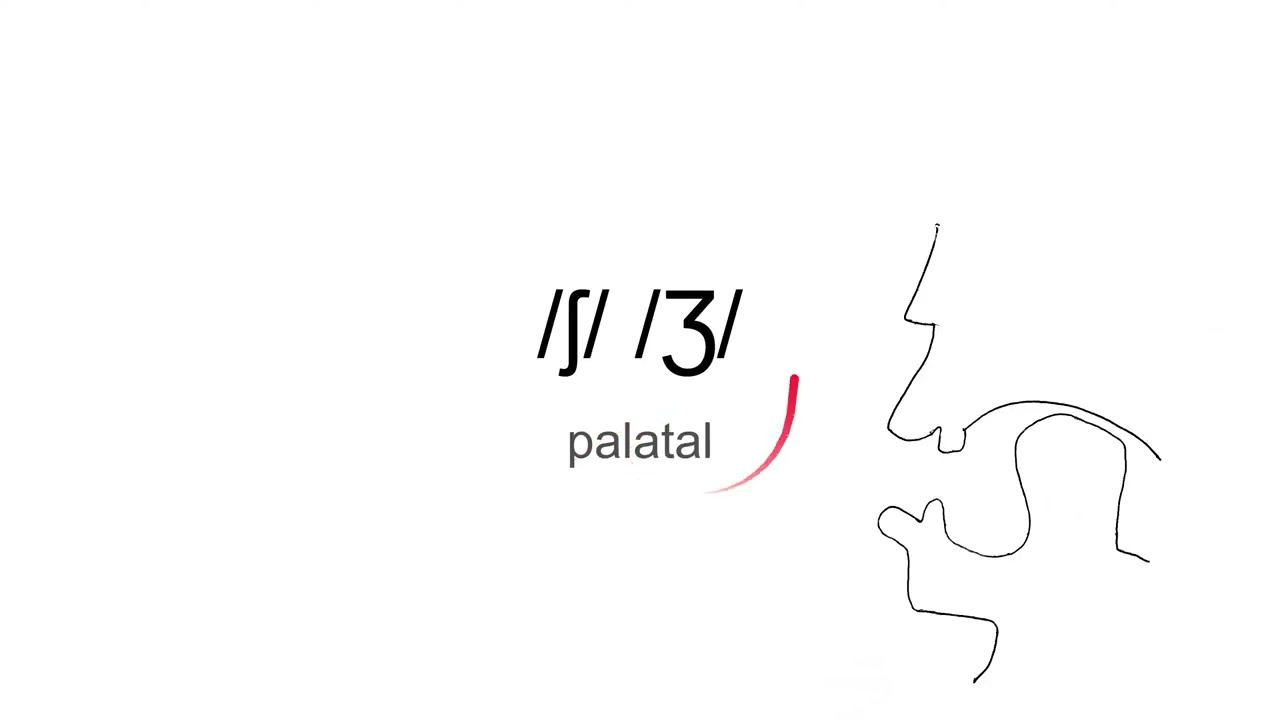 fricative: /s/ /z/ /ʃ/ /Ʒ/