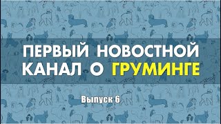 Самый дорогой в мире груминг. Чем опасны кошки/ Новости из мира груминга. Выпуск 6