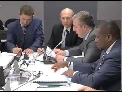 საქართველომ მონაწილეობა მიიღო კარიბის ზღვის აუზის ქვეყნების ყოველწლიურ შეკრებაში