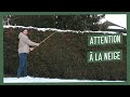 Attention à la neige au jardin!