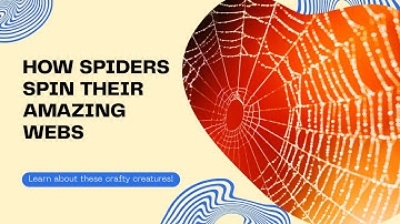 How Spiders Make Their Webs! Educational Nature Video