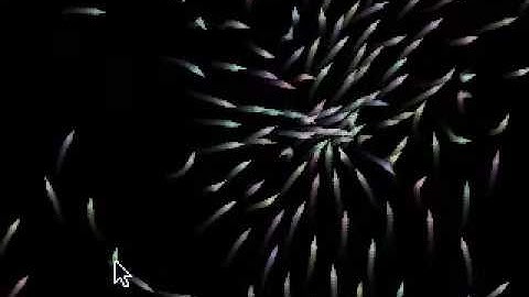 Openframeworks Flocking