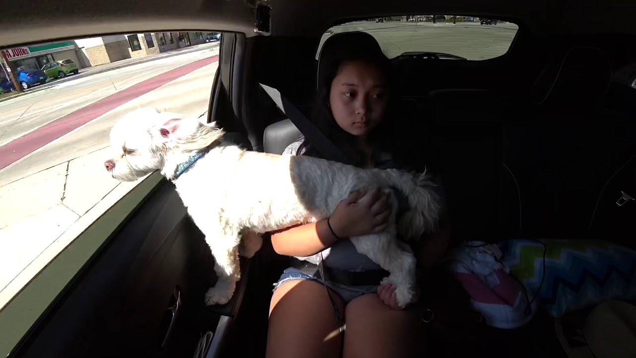 July 30, 2018/961 I’ll be back soon Tampers