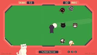 The Cat Games - Дикий Бильярд, исчезновение Енота screenshot 5