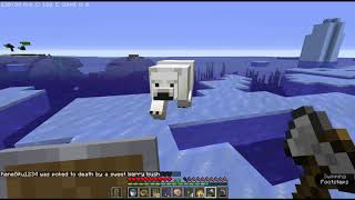 Killing Polar Bears In Minecraft