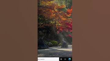 Cannot access network location windows 10 ( 2025 Fix )