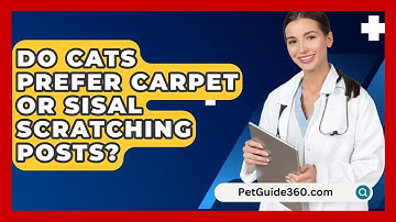 Do Cats Prefer Carpet Or Sisal Scratching Posts? - PetGuide360.com