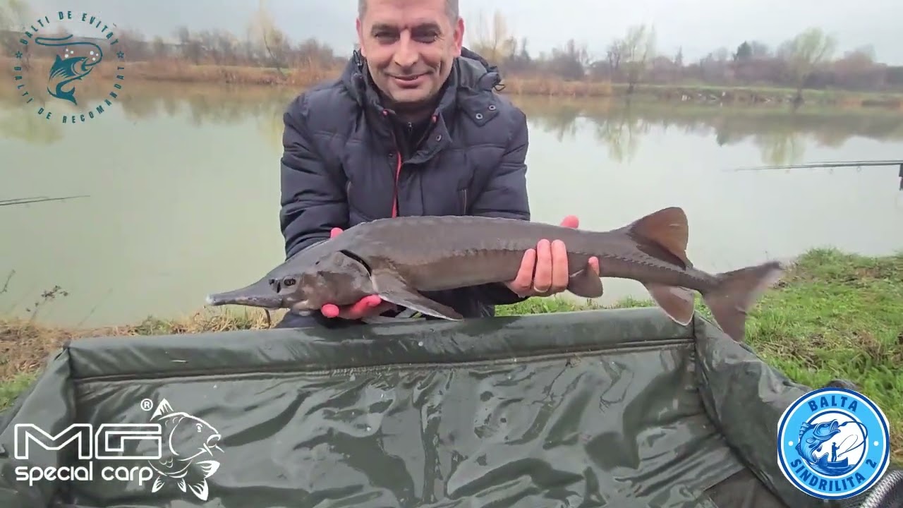 Pescuit pe BALTA SINDRILITA 2, pe o vreme capricioasa! 20 kg de peste prins in mai puțin de 24 ore!