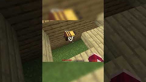 Building a house but only adding 2 blocks a day - Day 289