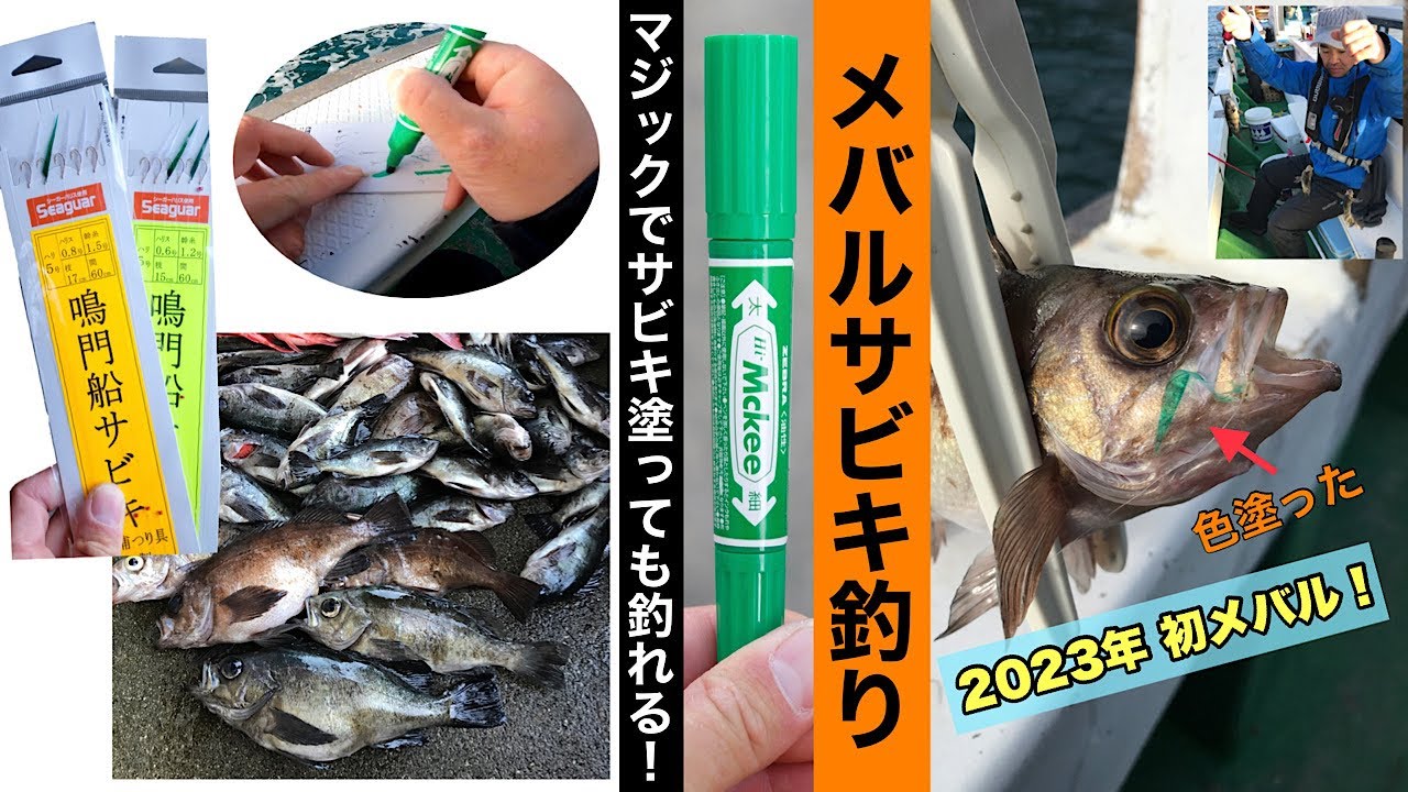 【メバルサビキ】サビキのカラーチェンジとサイズダウンでシブいメバルを攻略！2023年1月 初メバル釣り