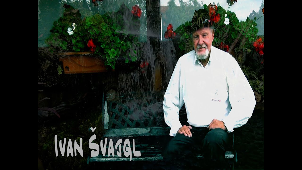 Moj muzikant -  Ivan Švajgl