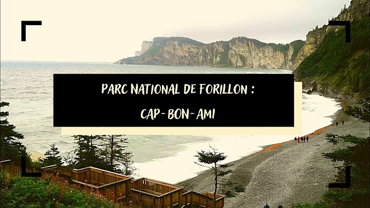 Parc National De Forillon (2) : Cap Bon-Ami