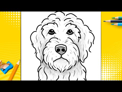 How To Draw A Dog - Labradoodle