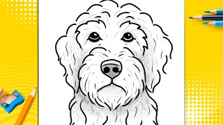 How To Draw A Dog - Labradoodle