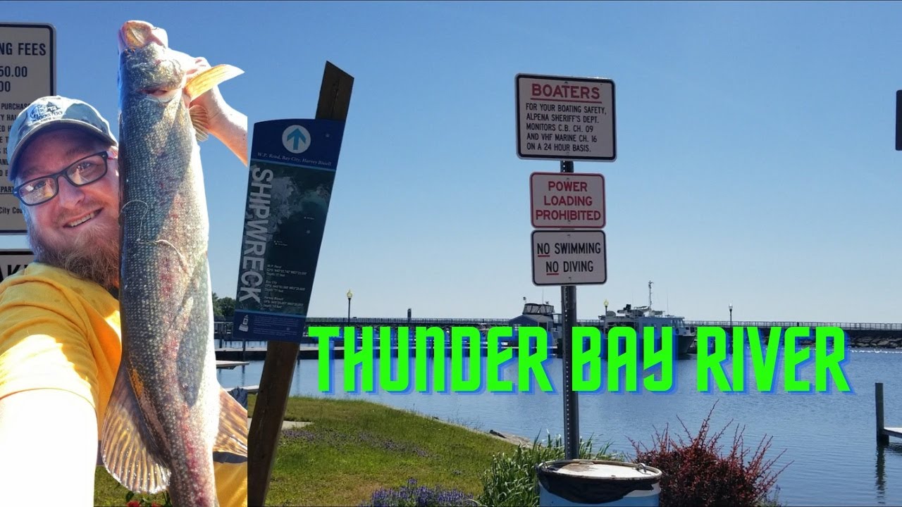 Fishing The Thunder Bay River " Late June" YouTube