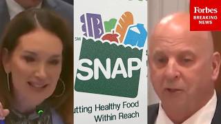 'How Did So Many Non-Citizens Qualify?': Scott DesJarlais Presses Brooke Rollins On SNAP Fraud