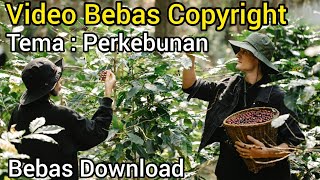 Kumpulan Video Perkebunan/ Video Petani di Perkebunan/ Video Bebas Hak Cipta Bebas Copyright
