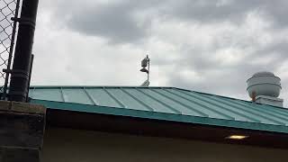 AEM/Earth Networks Sferic "WeatherBug" Lightning Detection Siren, All Clear. Hurst, TX