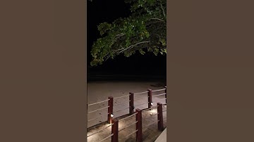 Thumbnail of #music #christmas #night #animation #song #beach #planet #musicanimation #travel #earth