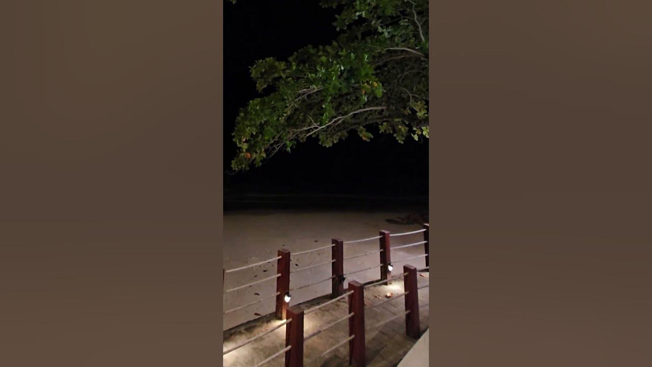 #music #christmas #night #animation #song #beach #planet #musicanimation #travel #earth