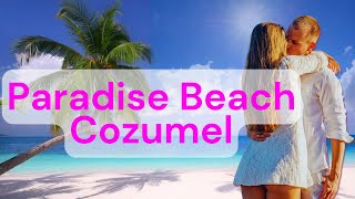Uncover the Treasures of paradise beach cozumel mexico