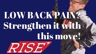 The QL Muscle and How to Strengthen the Low Back