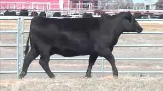 Lot 417, G A R Ingenuity 3132