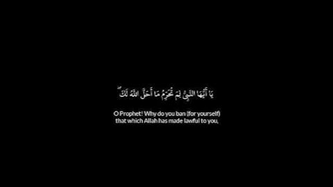 ماتيسر من سورة التحريم# القارئ الشيخ سعد الغامدي #