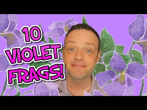 10 Vivacious VIOLET Fragrances!