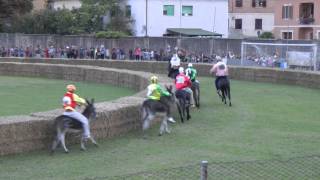 Palio dei Ciuchi 2014 [la Corsa] - Asciano (Siena)