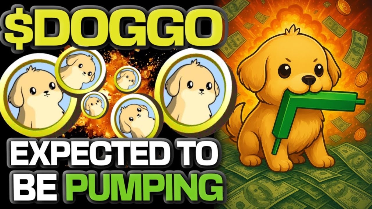 Ожидается, что $DOGGO COIN на SOLANA будет иметь большой рост в этом бычьем забеге!!!