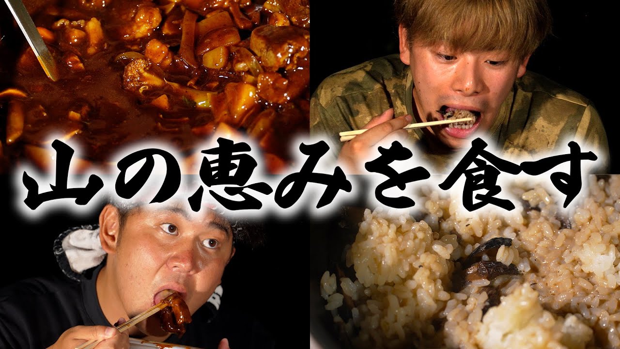 天然キノコを使った「熊とイノシシのシチュー」が美味すぎた