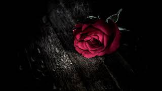 Hadji Baba - Tuzak (Teoman Cover)