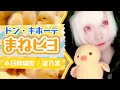 【ドンキ】自分に似たタイプの喋るひよこを買って騒ぎはしゃぎまくる大人【小日向珈世/宙乃冥】