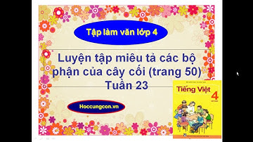 Tập làm văn lớp 4 tuần 23: Luyện tập miêu tả các bộ phận của cây cối