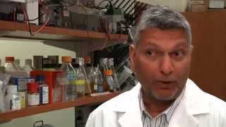 Prenatal nicotine exposure may lead to ADHD in future generations 720p
