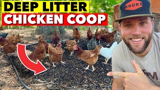 EXPERIMENTEI O SISTEMA DE GALINHEIRO COM CAMA PROFUNDA AQUI ESTA O QUE APRENDI