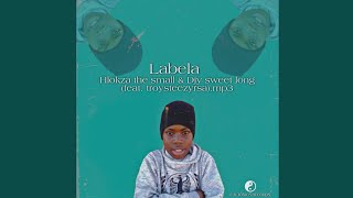 Labela - Hlokza The Small Feat.troysteezyrsa