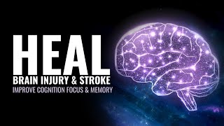 Sembuhkan Cedera Otak dan Stroke | Meningkatkan Sel Saraf Di Otak | Meningkatkan Fokus & Memori Kognisi