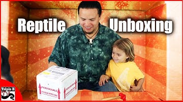 Unboxing Motley Golden Child Reticulated Python and New Rack : Longest Title Ever Triple B TV Ep.41