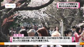 都内23区さくらの名所・公園ランキング（桜の本数）