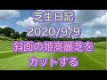 芝生日記  2020/9/9 斜面の姫高麗芝を刈る