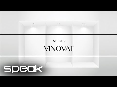 Speak - Vinovat