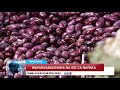 JE WAFAHAMU BEI ZA NAFAKA SOKONI MWILI HUJENGWA KWA CHAKULA BORA NA IMARA JE WAFAHAMU BEI ZA NAFAKA SOKONI MWILI HUJENGWA KWA CHAKULA BORA NA IMARA
