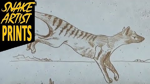 HOW TO TRACE MONOPRINT