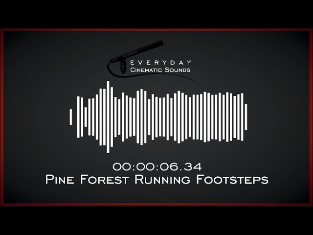 Footsteps Running in Pine Forest | HQ Sound Effects class=