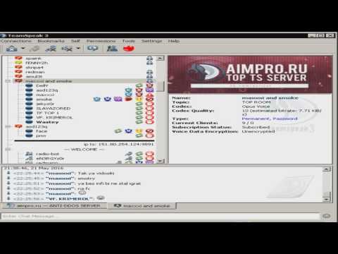 WasteyTV - Delly впрягается за topstack