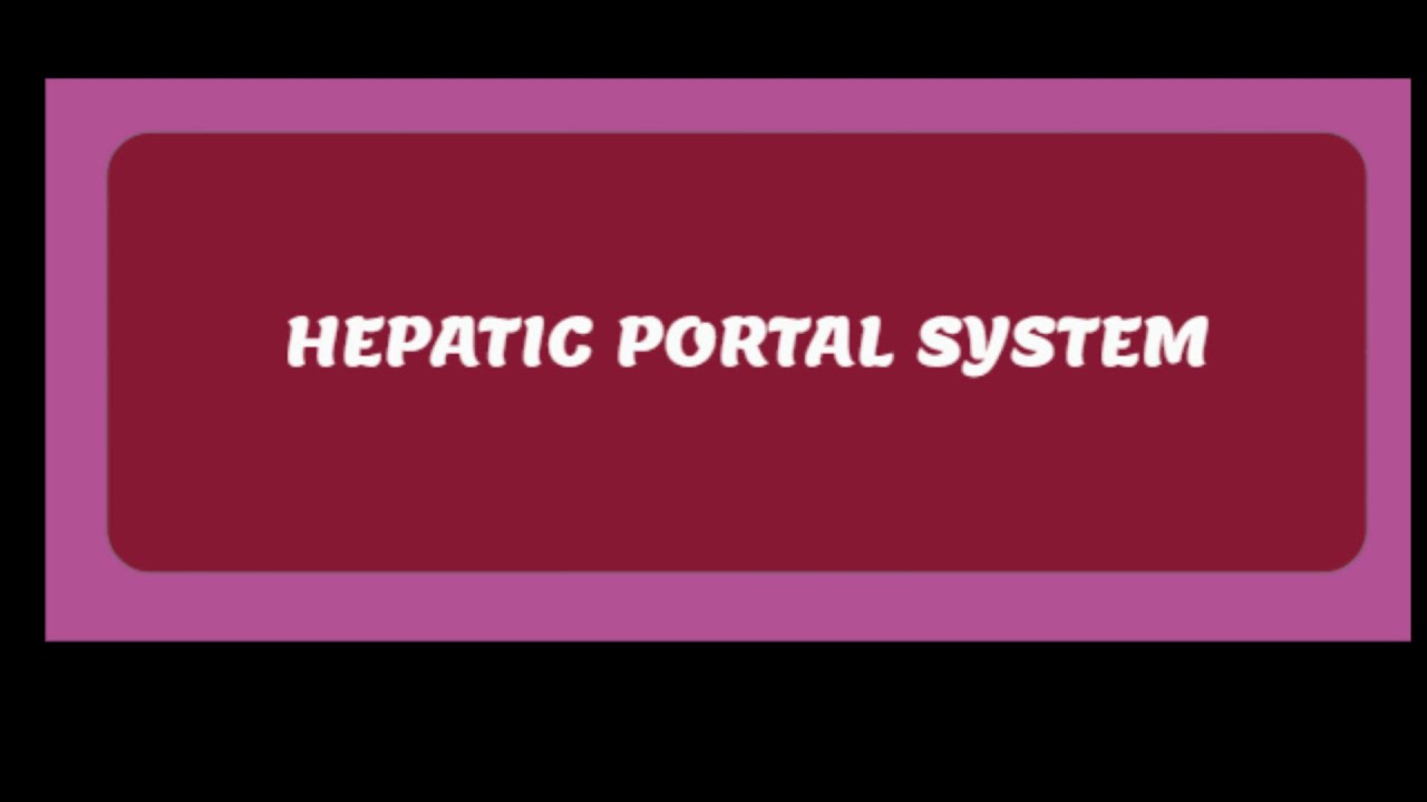 hepatic portal system - YouTube